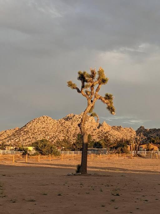 Chasing The Moon: Expansive Tub Views Near Pappy'S Villa Pioneertown Exteriör bild